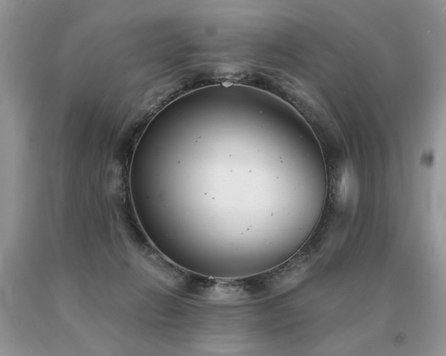 X0000091080270200708061343