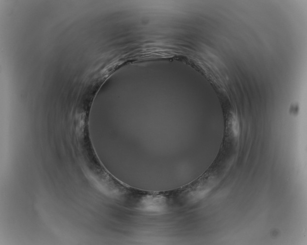 X0000091080271200708061343