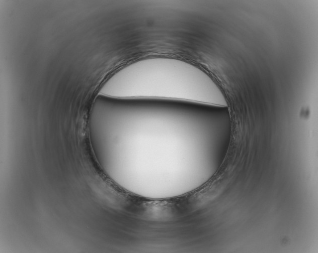 X0000091080273200708061343