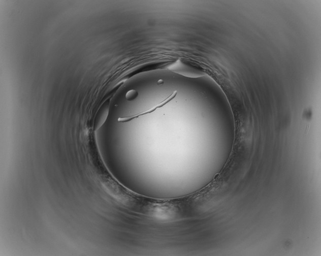 X0000091080275200708061343