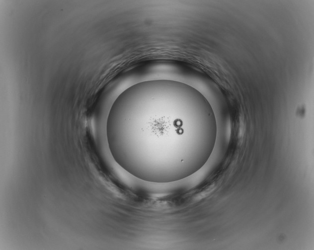 X0000091080276200708061343