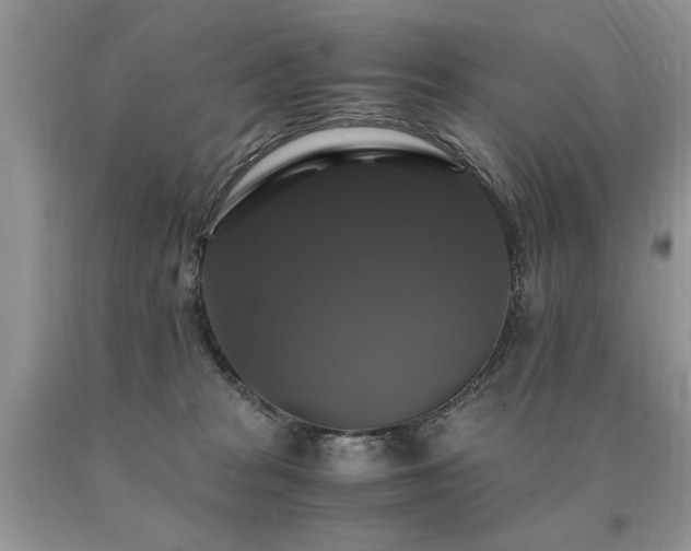 X0000091080277200708061343