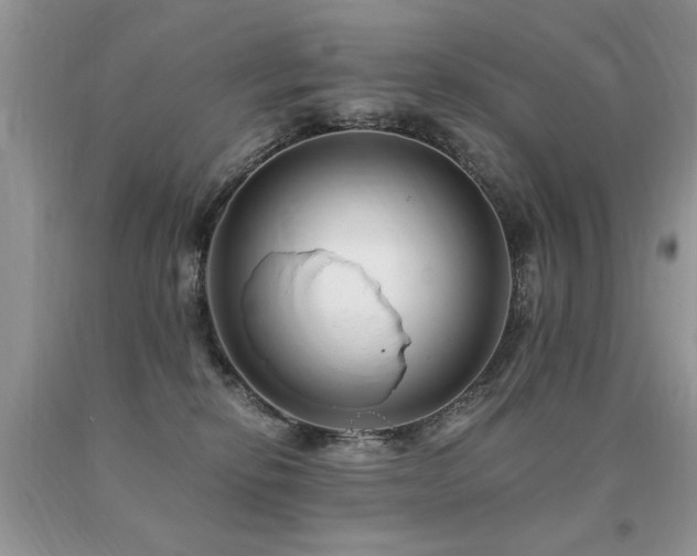 X0000091080278200708061343