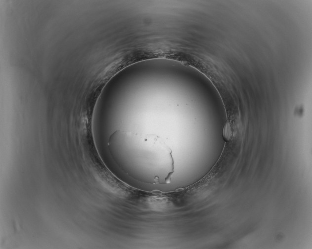 X0000091080279200708061343