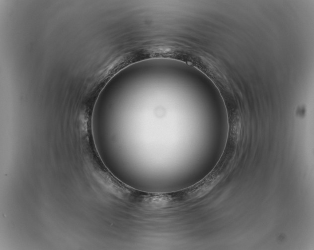 X0000091080282200708061343