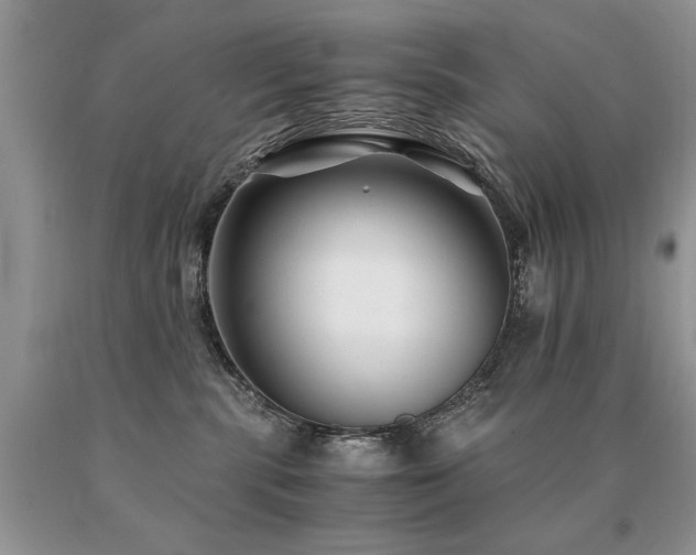 X0000091080283200708061343