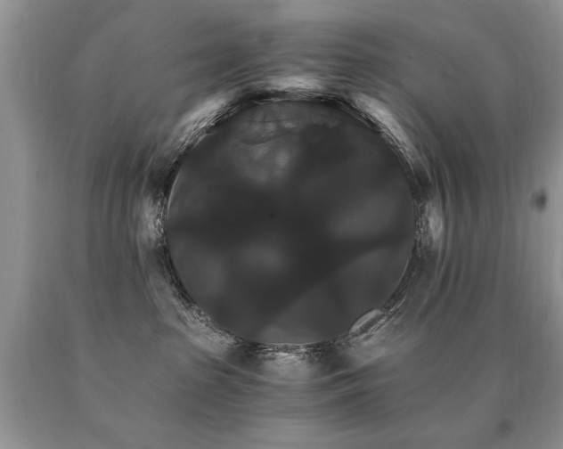 X0000091080285200708061343