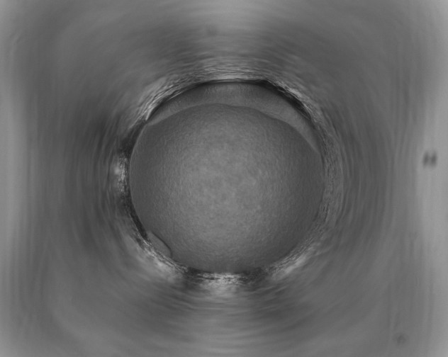 X0000091080288200708061343