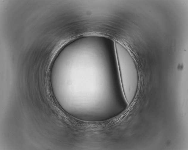 X0000091080289200708061342