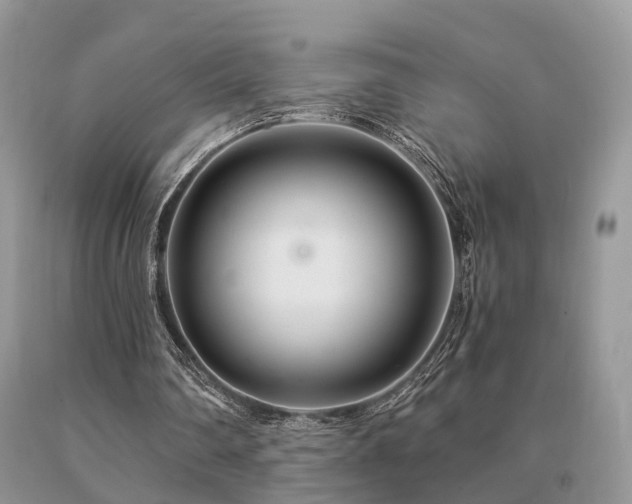 X0000091080290200708061342