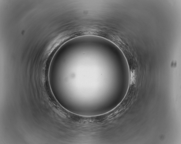 X0000091080291200708061342