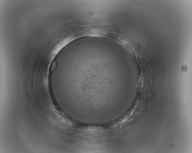 X0000091080292200708061342