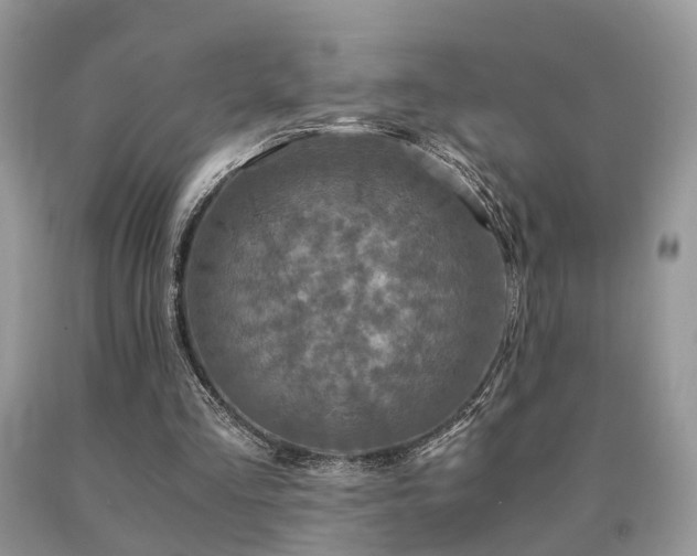 X0000091080293200708061342