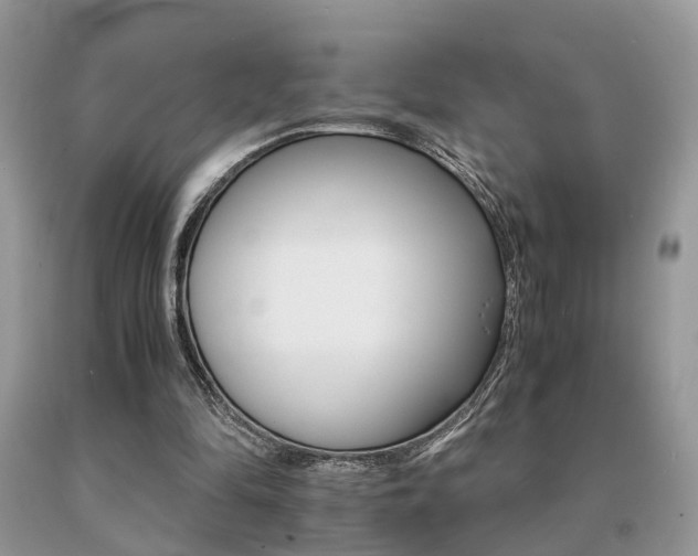 X0000091080294200708061342