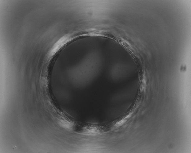 X0000091080295200708061342