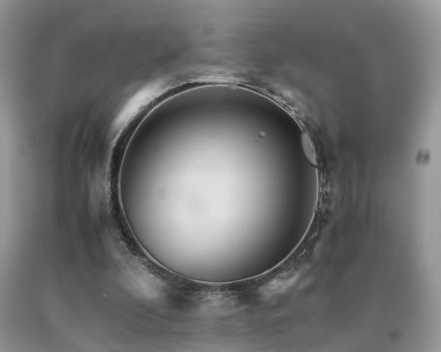 X0000091080296200708061342