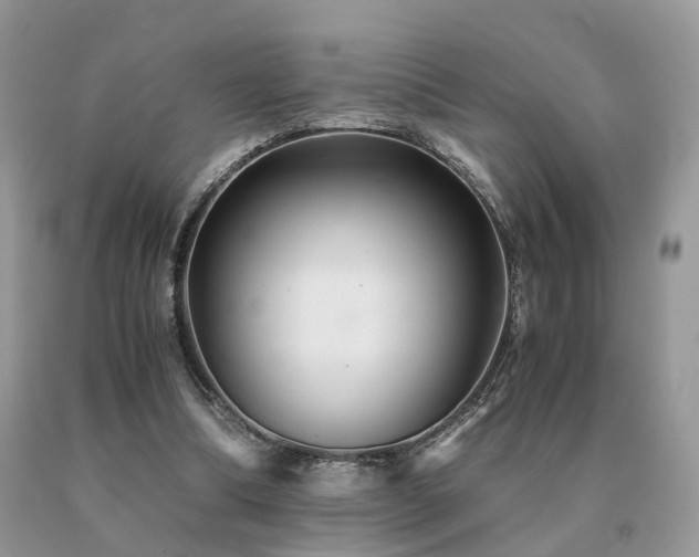 X0000091080298200708061342