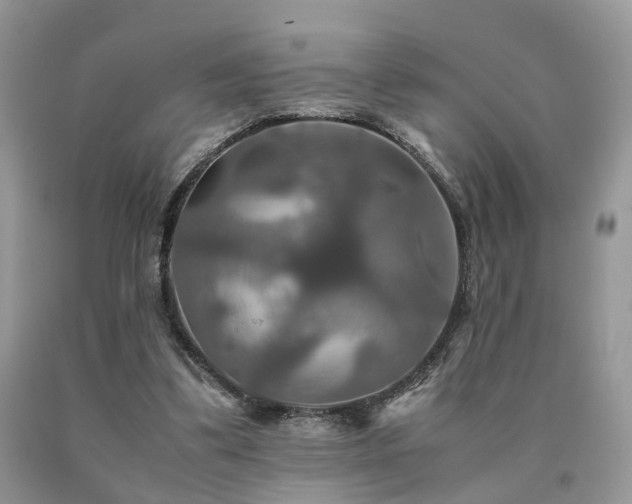 X0000091080299200708061342