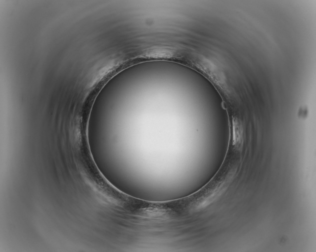 X0000091080300200708061342