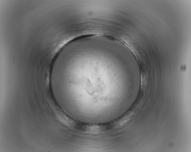 X0000091080301200708061342