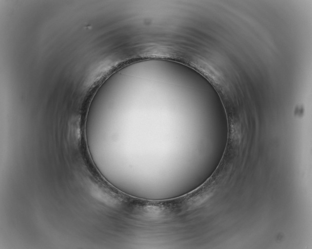 X0000091080302200708061342