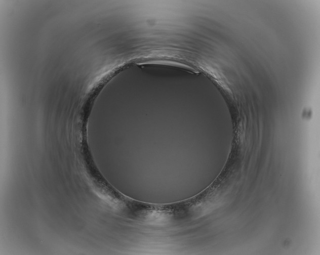 X0000091080303200708061342