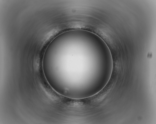 X0000091080304200708061342