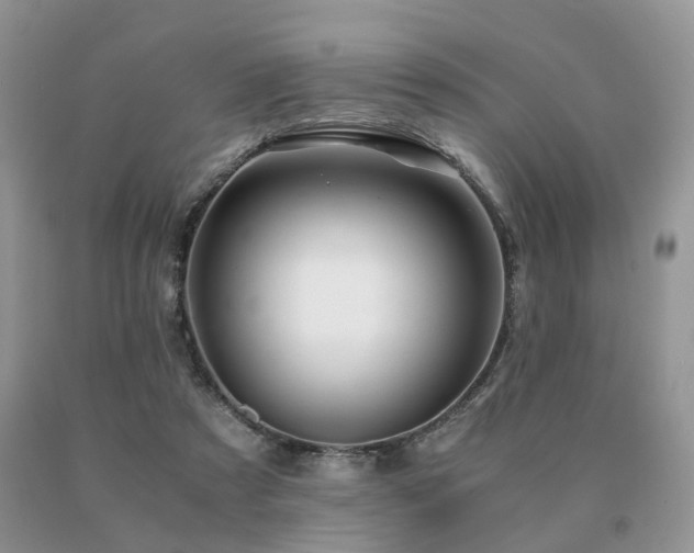 X0000091080305200708061342