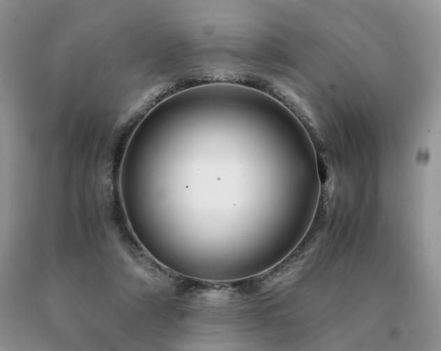 X0000091080306200708061342