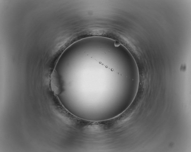 X0000091080307200708061342