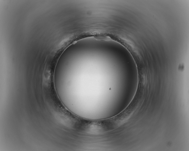 X0000091080308200708061342