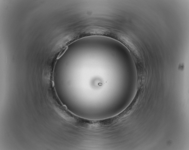 X0000091080309200708061342