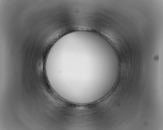 X0000091080310200708061342