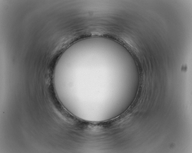 X0000091080311200708061342