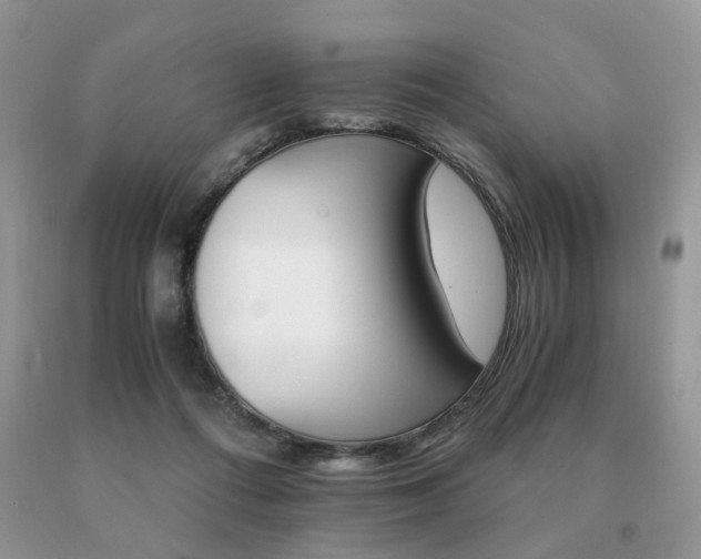 X0000091080312200708061342