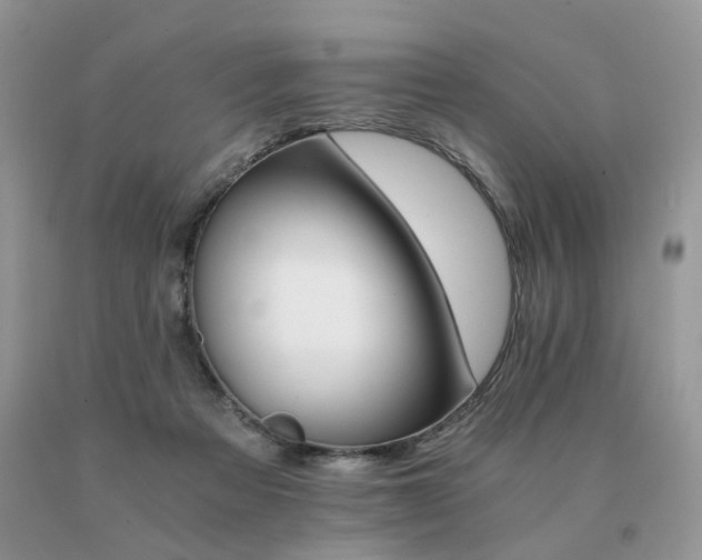 X0000091080313200708061342