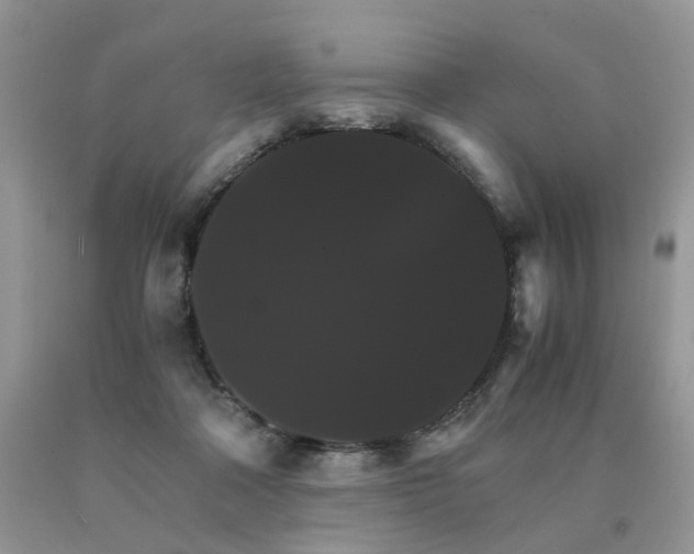 X0000091080314200708061342