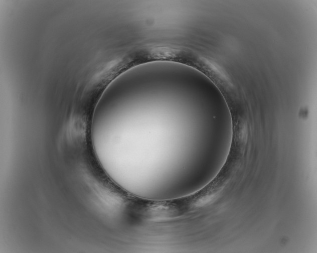 X0000091080315200708061342