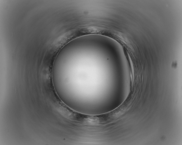 X0000091080317200708061342