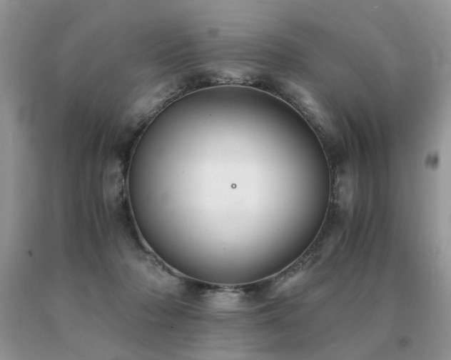 X0000091080318200708061342