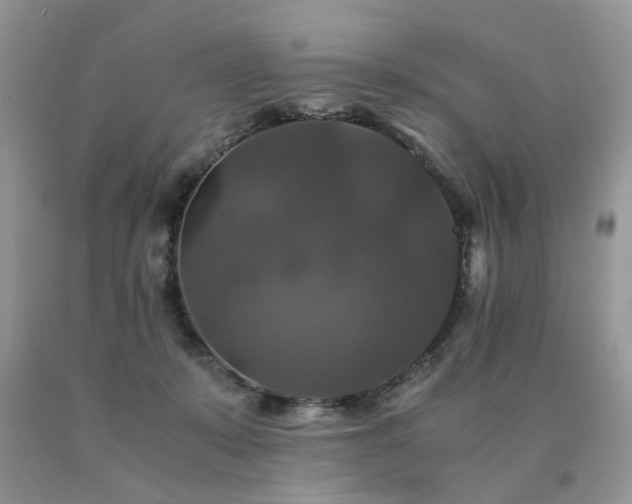 X0000091080319200708061342