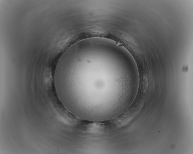 X0000091080320200708061342