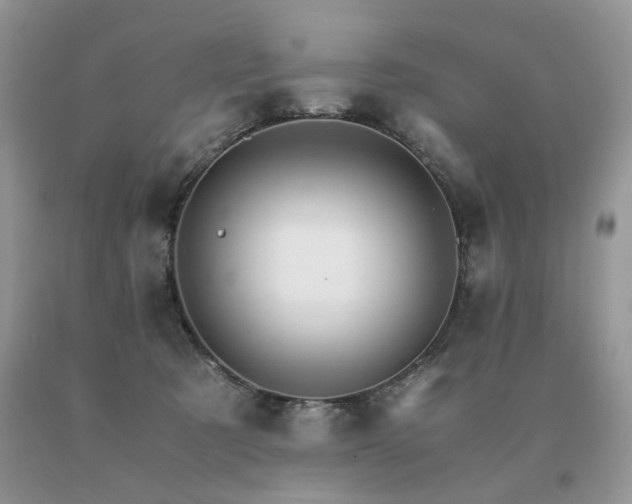 X0000091080321200708061342