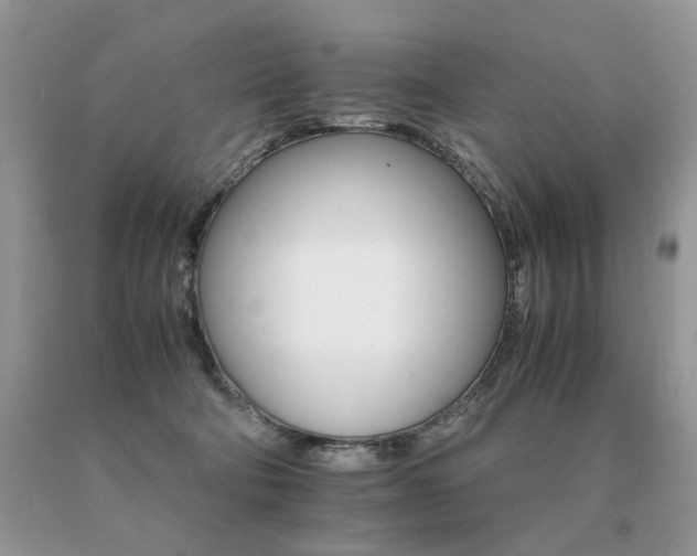 X0000091080322200708061342