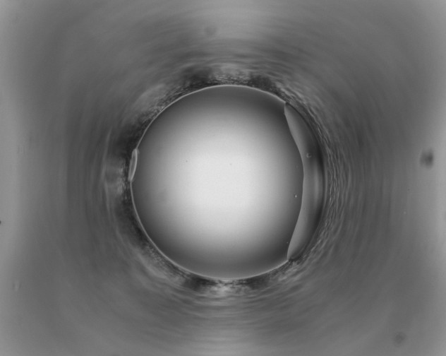 X0000091080323200708061342