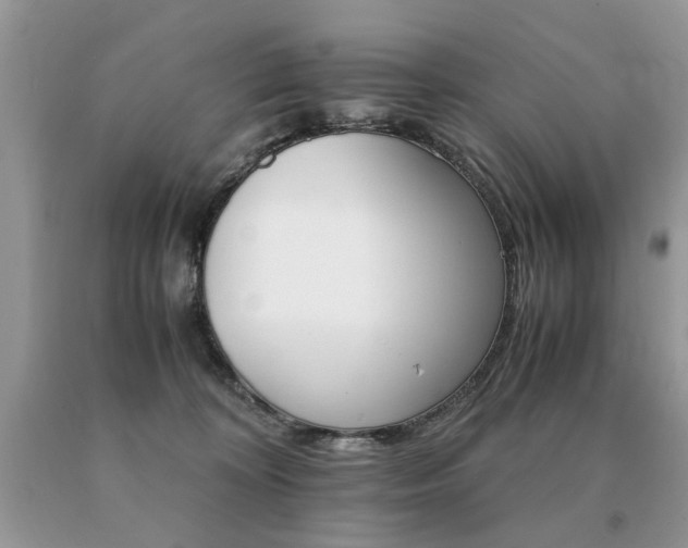 X0000091080324200708061342