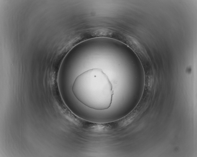 X0000091080326200708061342