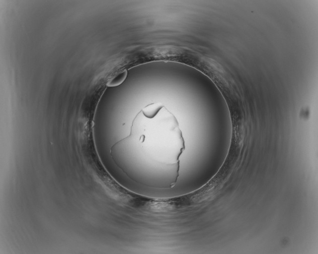 X0000091080327200708061342