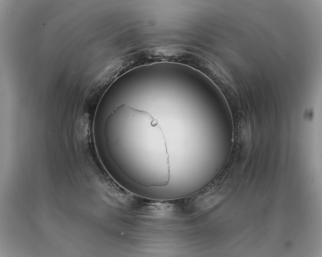 X0000091080328200708061342