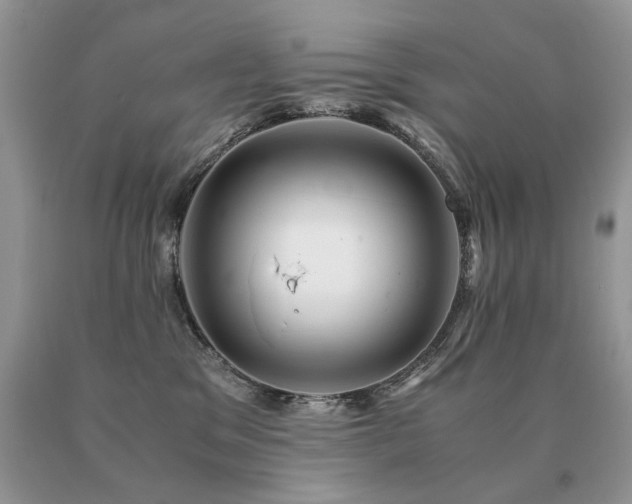 X0000091080329200708061342